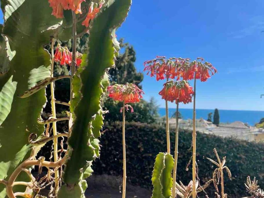 Nervi Residenziale A Due Passi Dal Mare Appartement Genua Buitenkant foto